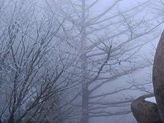 -崂山巨峰游览区