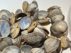 -海味当家·蒸锅海鲜(星海公园店)