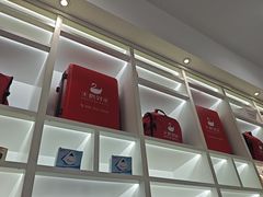 -天鹅到家·保姆月嫂育儿嫂(总店)