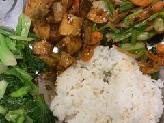 -同济大学·食堂(嘉定校区)