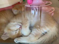 -Me Coffee下午茶艺术空间