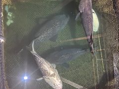 -蓝湾碧波·老字号·疍家非遗海上餐厅