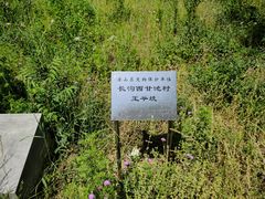 -房山世界地质公园博物馆