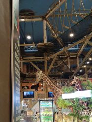 -卡通尼·Safari非洲探索乐园·生日会(金桥国际商业广场店)