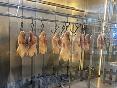 -京悦荟·京沪融合菜(漕河泾印象城店)