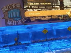 -北李妈妈菜·海肠捞饭(高新万达店)