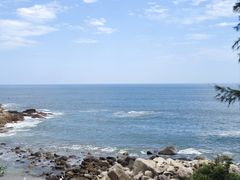 -广东惠东海龟国家级自然保护区