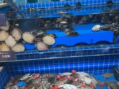 -乔哥铭洋海鲜自助(皇城恒隆广场店)