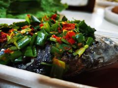 凉拌鲫鱼-浮何烤铺(桐梓林店)