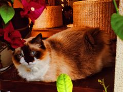 -seeu coffee(江滩店)