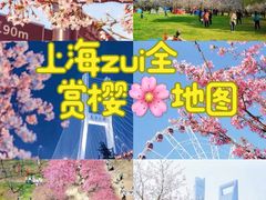 -顾村公园