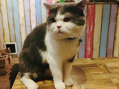 -小时光咖啡馆(开森度假森林店)