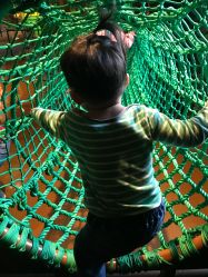 -奇幻丛林(佛罗伦萨小镇店)