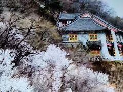 -高尔山公园