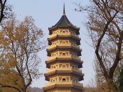 -灵谷景区