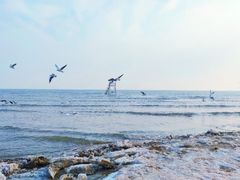 -老虎石海上公园