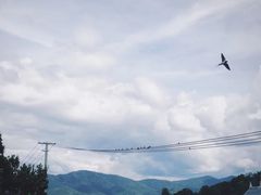 -西双版纳基诺山寨