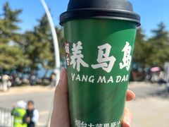 -养马岛旅游度假区