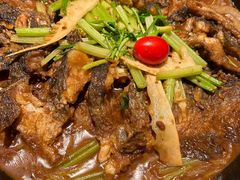 -老板恋上鱼(高新万达店)