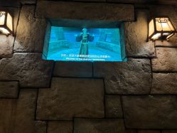 -翱翔飞越地平线