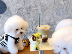 -KUDDO COFFEE(天河城店)