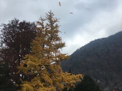 -龙疆湖