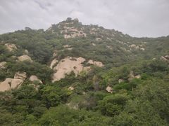 -大岭沟猕猴桃谷风景区