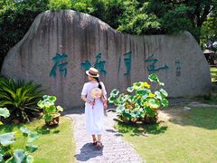-荷塘月色湿地公园·向阳花洲