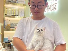 -钦宠·猫咪售卖·洗护·寄养(东圃旗舰店)