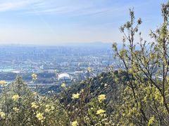 -杭州半山国家森林公园