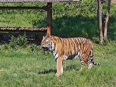 -沈阳森林动物园