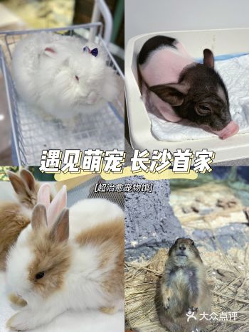 这家店终于开在长沙！很多城市都有，是长沙的旗舰店