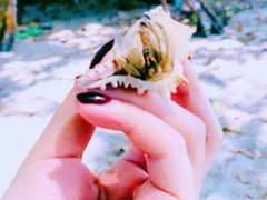 -洛克岛