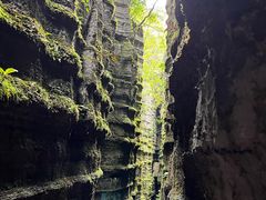 -梭布垭石林景区