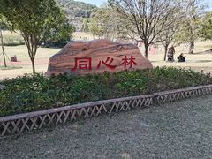 -牛岗山公园