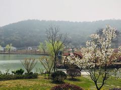 -龙寺生态园