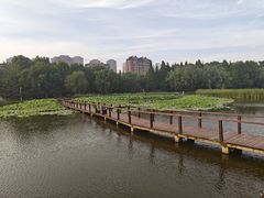 -前关湿地公园