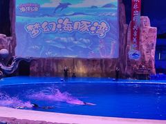 -华夏文旅海洋公园