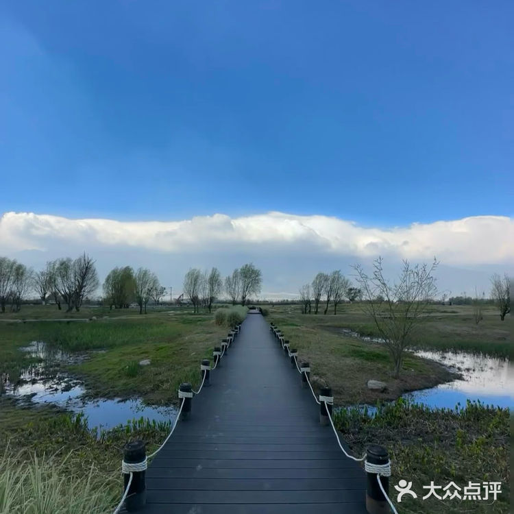 在这个咖啡店看着洱海发半天呆