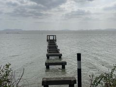-贡湖湾湿地公园
