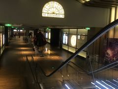 -成都百丽宫影城(LUXE太古里店)