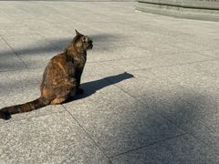 -龙华素斋(龙华路店)