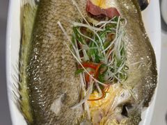 -香港狮子山下·明星粤菜餐厅(北苑店)