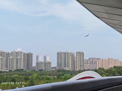 -哈尔滨大剧院