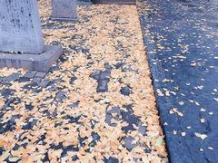 景点-少林寺景区