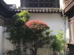 -檀园