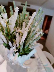 -姜美堂·蒸姜除湿の纤体美颜馆