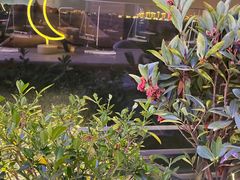 -岁粤Moon·湖景餐厅(月光码头店)