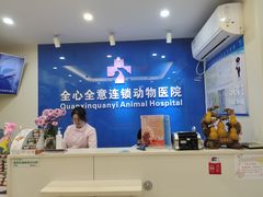 -全心全意连锁动物医院·微创中心·内科急重症·心脏专科(丰管路店)