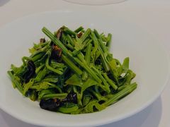 清炒瓜尖-黔蘑菇四季餐厅(观山湖店)